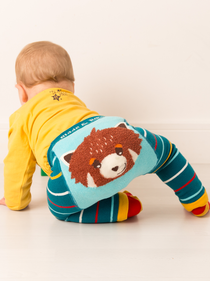 Chip the Red Panda Outfit (3PC)