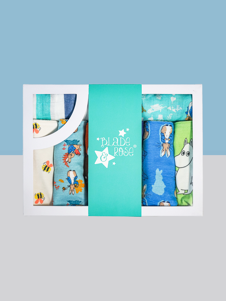 Baby Boy Bibs Gifting Set