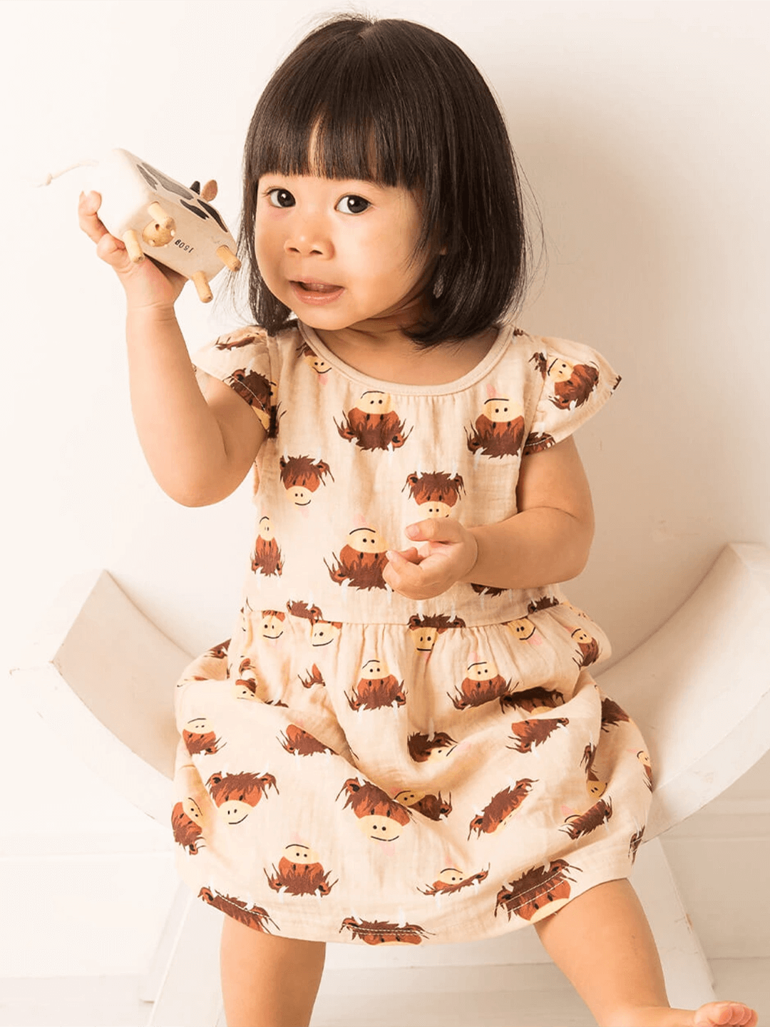 Neutral Highland Cow Summer Dress Gifting Set