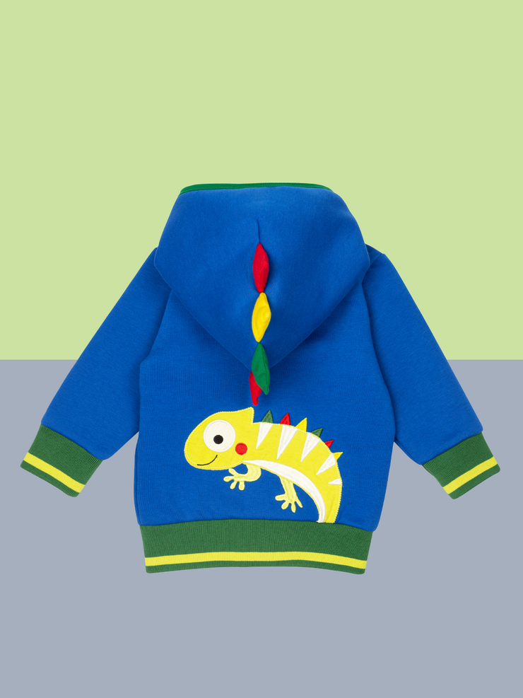 Chameleon Hoodie