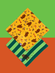 Muslin Squares (2 Pack)