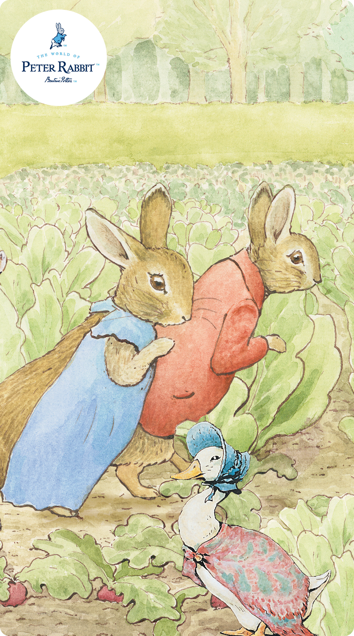 Peter Rabbit ™ Sammlung