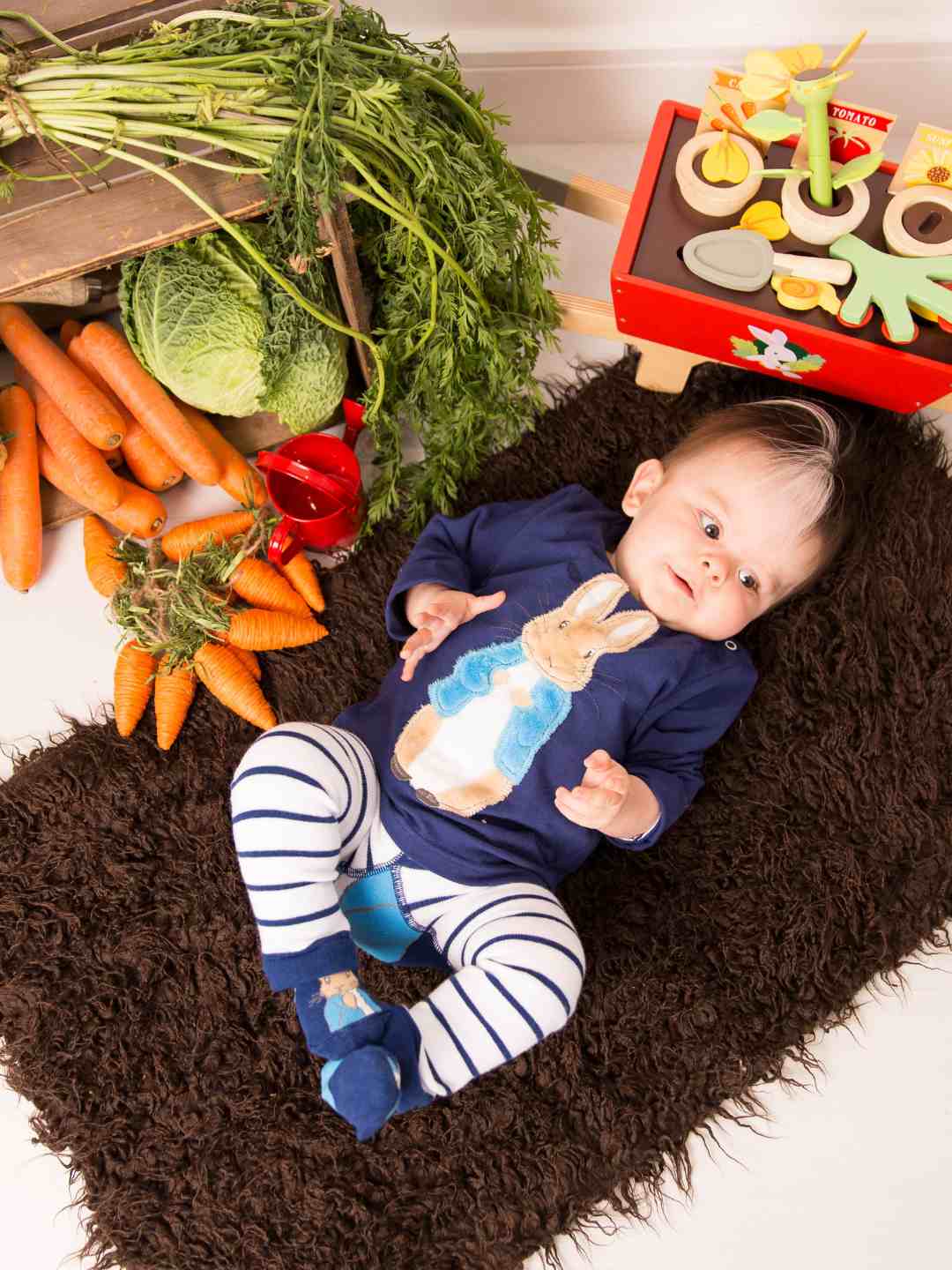 Top de la Armada de Peter Rabbit