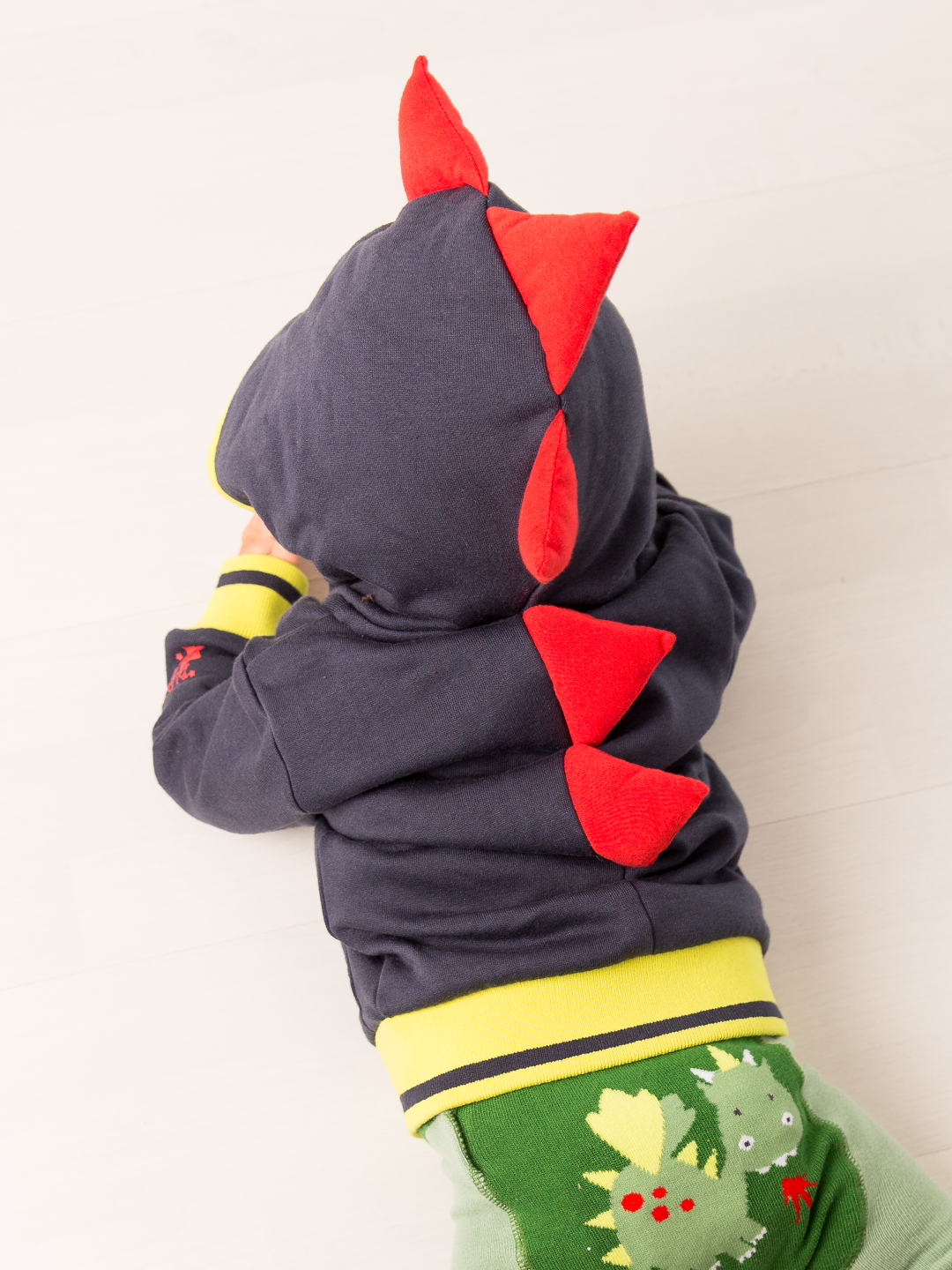 Teddy the Dragon Hoodie