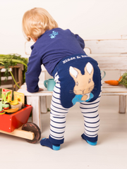 Peter Rabbit Navy Gifting Set