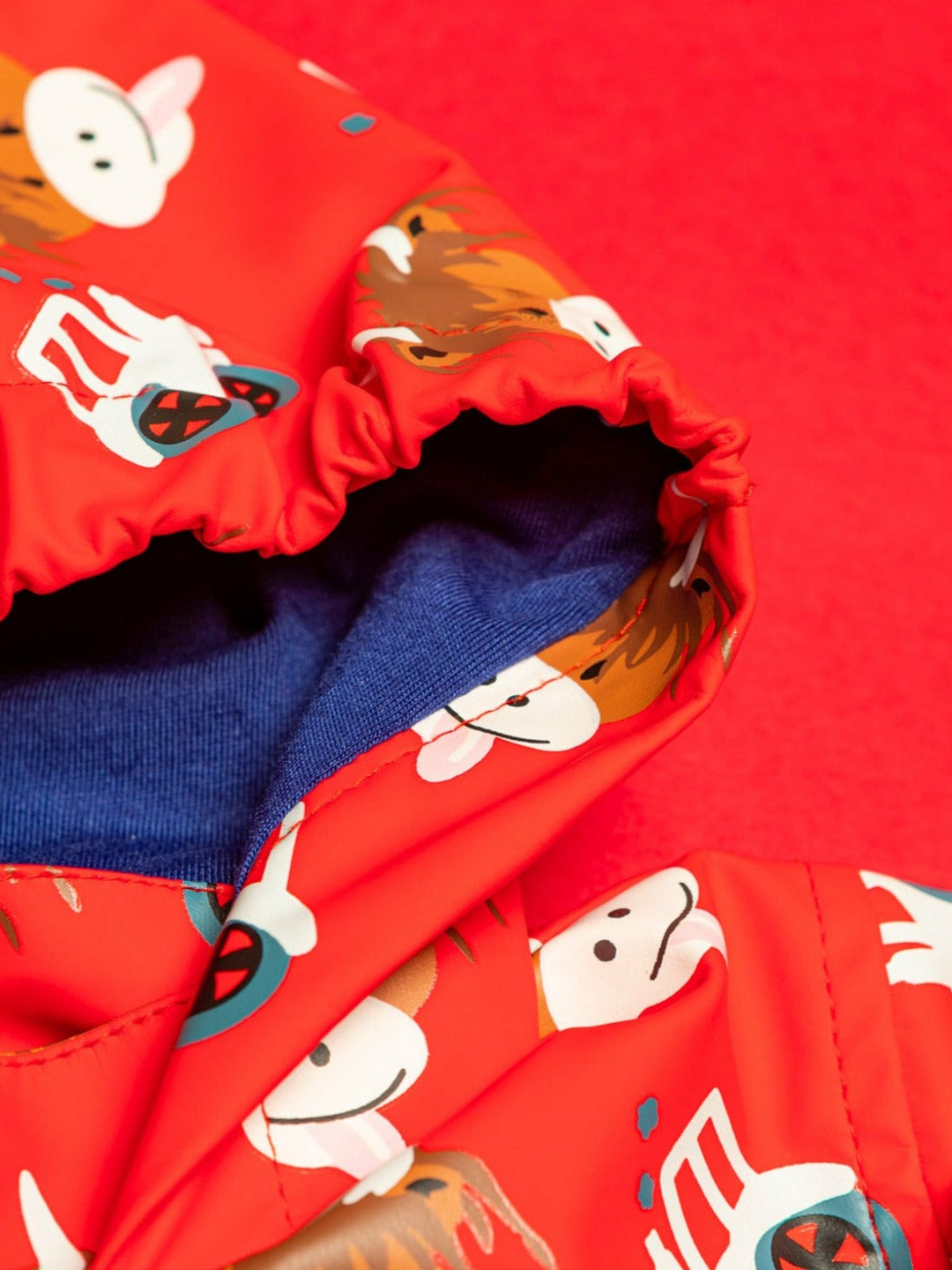 Highland Cow Colour Changing Raincoat Blade & Rose