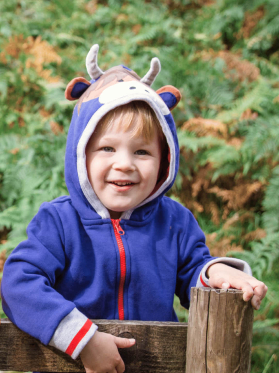 Highland Cow Hoodie Blade & Rose