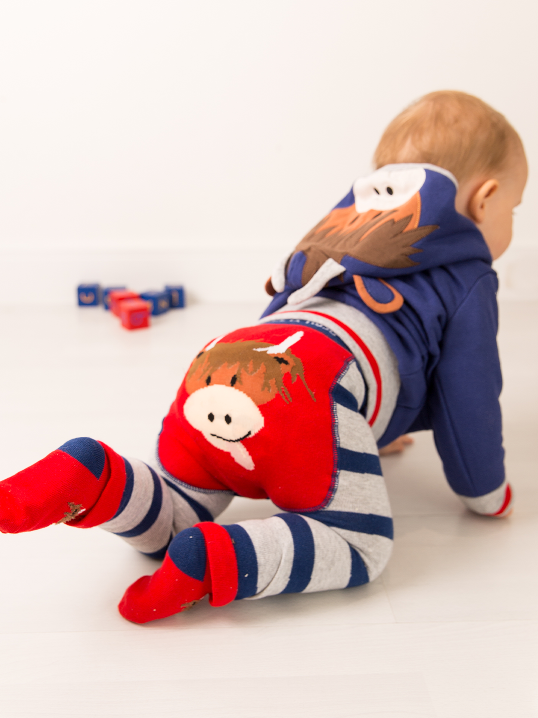 Con cappuccio di mucca di Hamish Highland